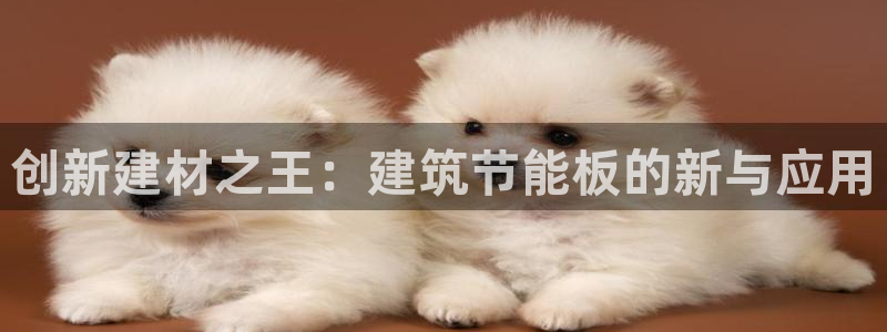 e尊国际是个黑网：创新建材之王：建筑节能板的新与应用