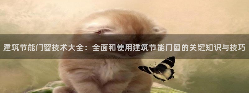 e尊国际娱乐官网下载：建筑节能门窗技术大全：全面和使用建筑节能门窗的关键知识与技巧